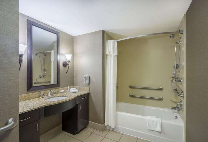 اتاق استاندارد با تخت بزرگ, Embassy Suites By Hilton St. Louis St. Charles
