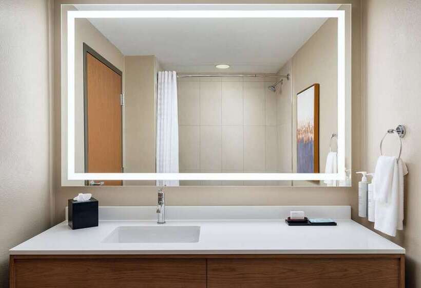 سوئیت با تخت بزرگ, Embassy Suites By Hilton St. Louis St. Charles