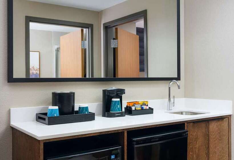 سوئیت با تخت بزرگ, Embassy Suites By Hilton St. Louis St. Charles