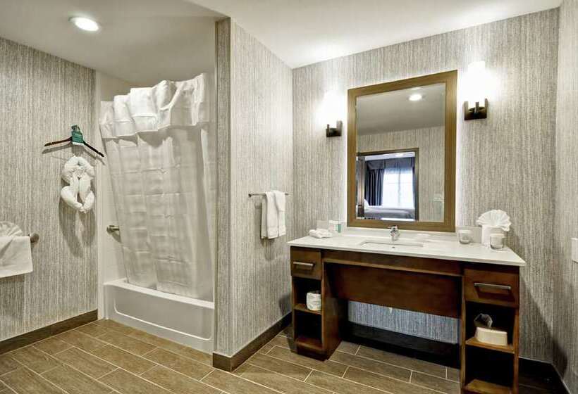 اتاق استاندارد با تخت بزرگ, Embassy Suites By Hilton St. Louis St. Charles