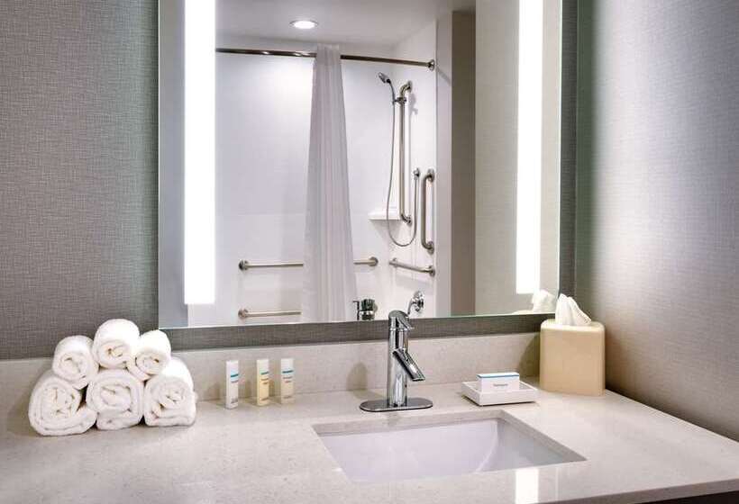 اتاق استاندارد, Hilton Baltimore Bwi Airport
