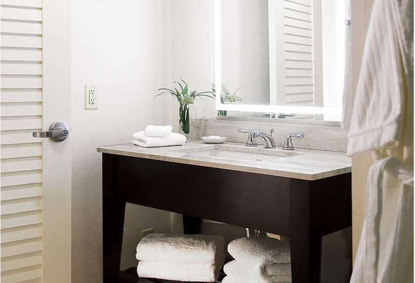 اتاق استاندارد, Hilton Baltimore Bwi Airport