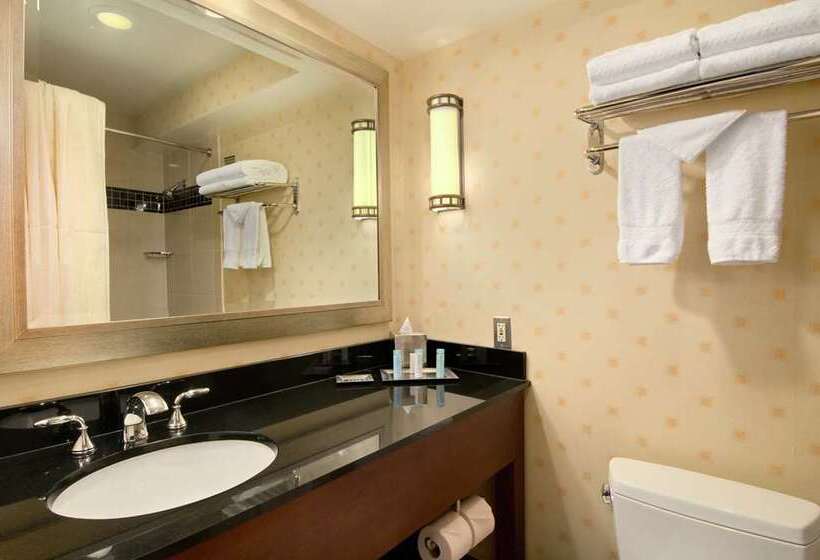 اتاق استاندارد, Hilton Baltimore Bwi Airport