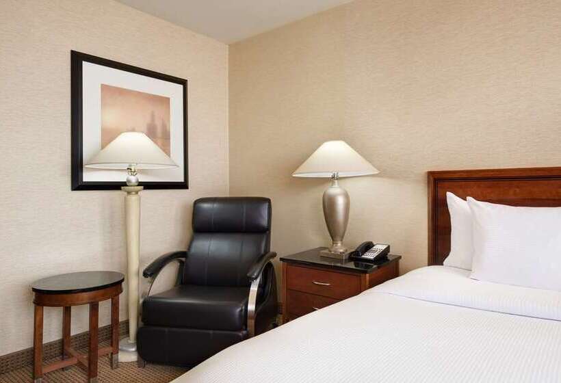 اتاق استاندارد, Hilton Baltimore Bwi Airport