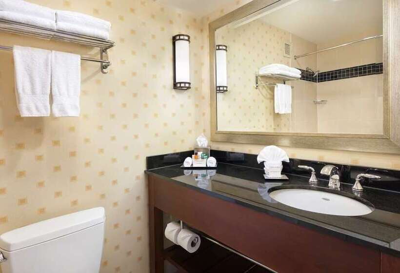 اتاق استاندارد, Hilton Baltimore Bwi Airport