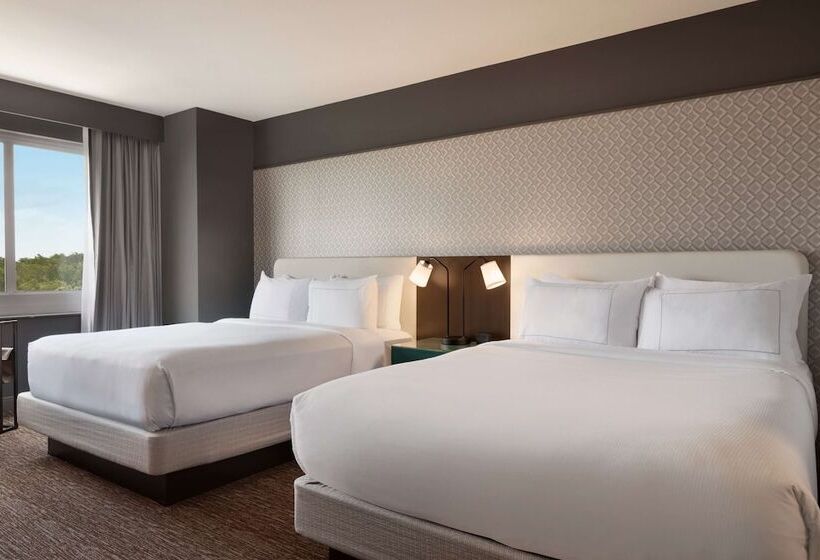 Chambre Executive, Hilton Bwi Airport