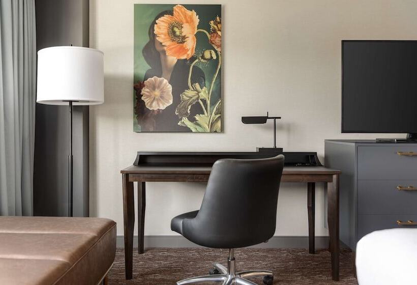 اتاق استاندارد برای معلولان, Hilton Baltimore Bwi Airport