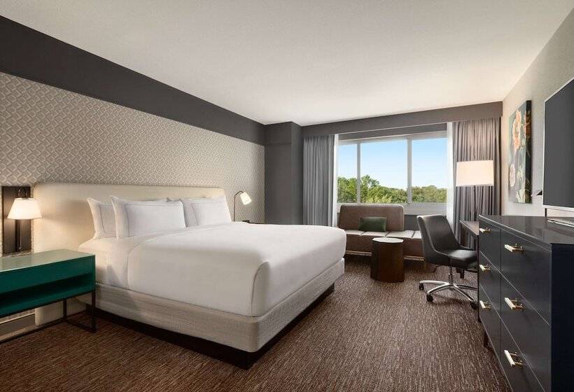 اتاق استاندارد برای معلولان, Hilton Baltimore Bwi Airport