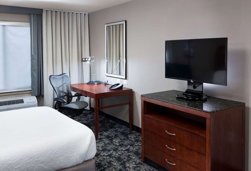 Standard Room, Hilton Garden Inn Austin North