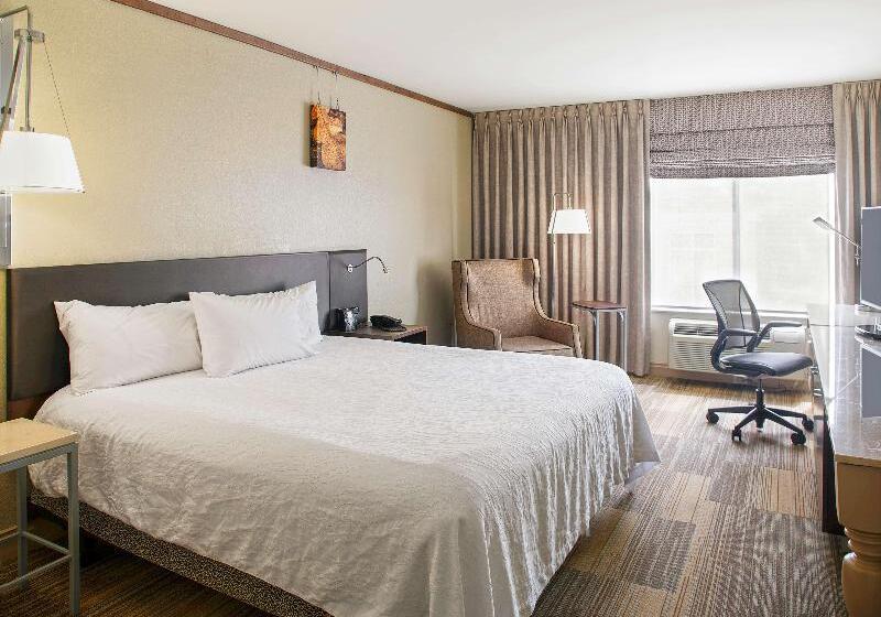 اتاق استاندارد با تخت بزرگ, Hilton Garden Inn Bentonville Rogers