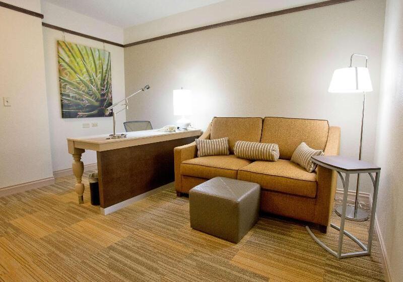 سوئیت با تخت بزرگ, Hilton Garden Inn Bentonville Rogers