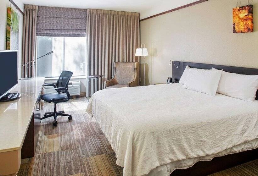 سوییت جونیور, Hilton Garden Inn Bentonville Rogers