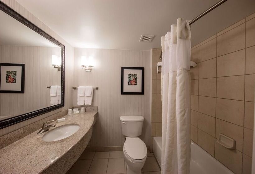 اتاق استاندارد با تخت بزرگ, Hilton Garden Inn Columbia/harbison