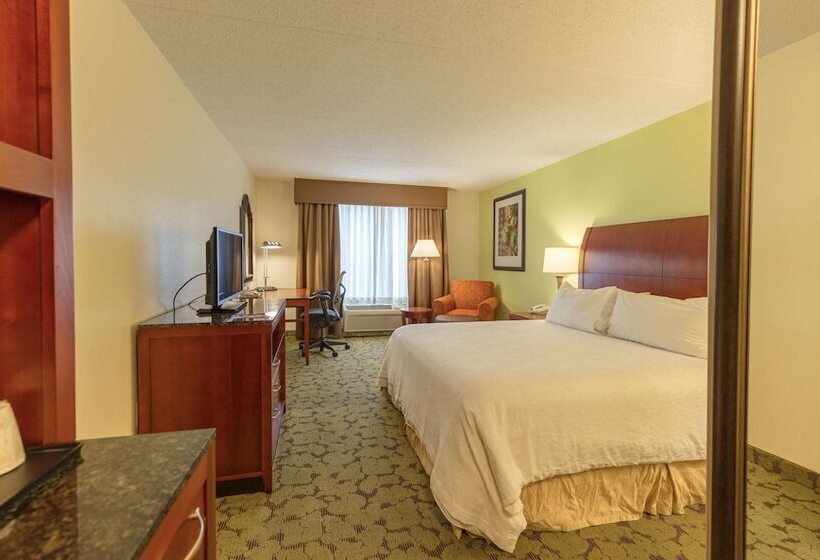اتاق استاندارد با تخت بزرگ, Hilton Garden Inn Columbia/harbison