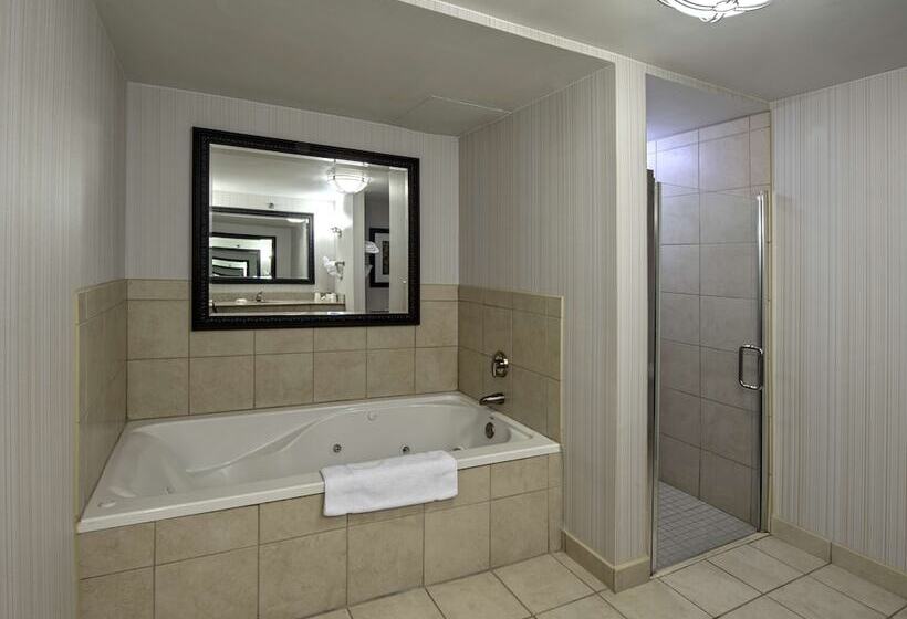 اتاق استاندارد با تخت بزرگ, Hilton Garden Inn Columbia/harbison