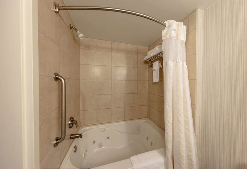 اتاق استاندارد با تخت بزرگ, Hilton Garden Inn Columbia/harbison