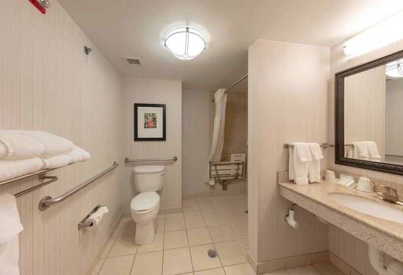اتاق استاندارد با تخت بزرگ برای معلولان, Hilton Garden Inn Columbia/harbison