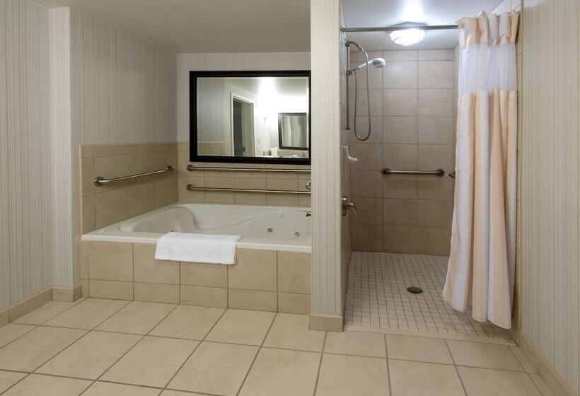 اتاق استاندارد با تخت بزرگ برای معلولان, Hilton Garden Inn Columbia/harbison