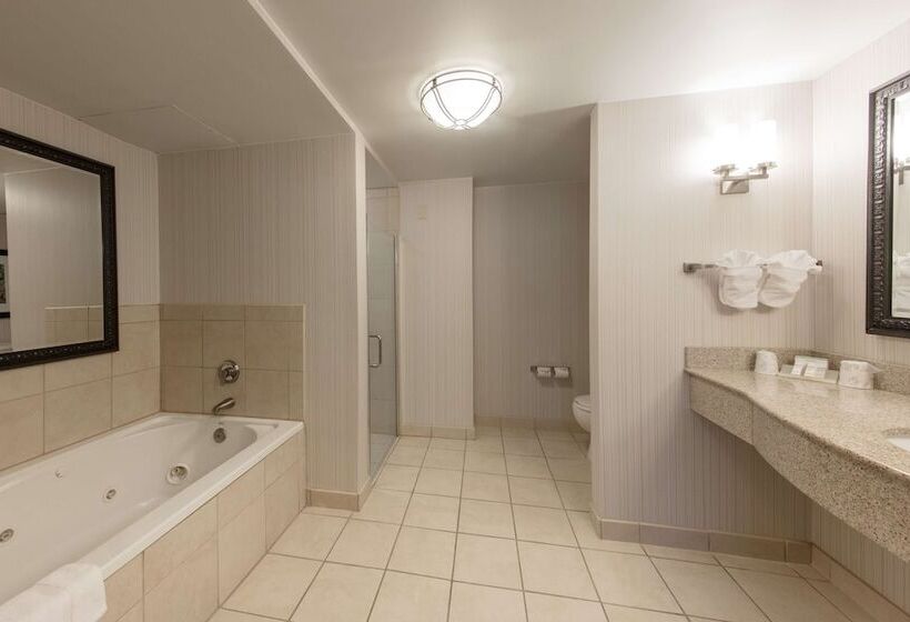 اتاق استاندارد با تخت بزرگ برای معلولان, Hilton Garden Inn Columbia/harbison