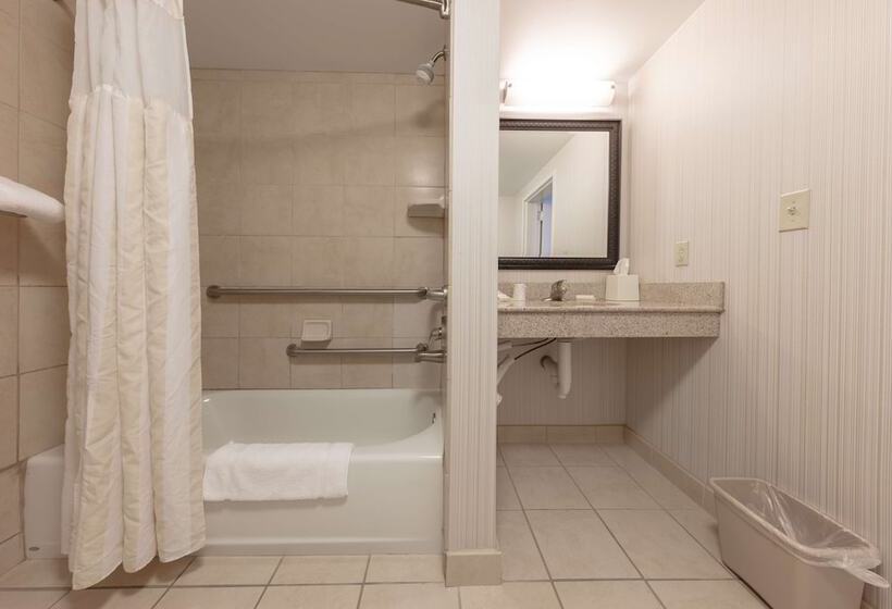 اتاق استاندارد با تخت بزرگ برای معلولان, Hilton Garden Inn Columbia/harbison