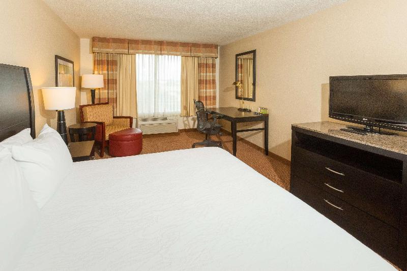 اتاق استاندارد با تخت بزرگ, Hilton Garden Inn Daytona Beach Airport