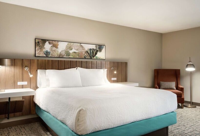 اتاق استاندارد برای معلولان, Hilton Garden Inn Dubuque Downtown