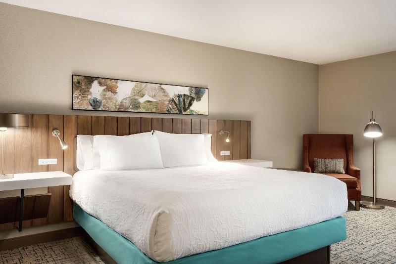 اتاق استاندارد با تخت بزرگ, Hilton Garden Inn Dubuque Downtown