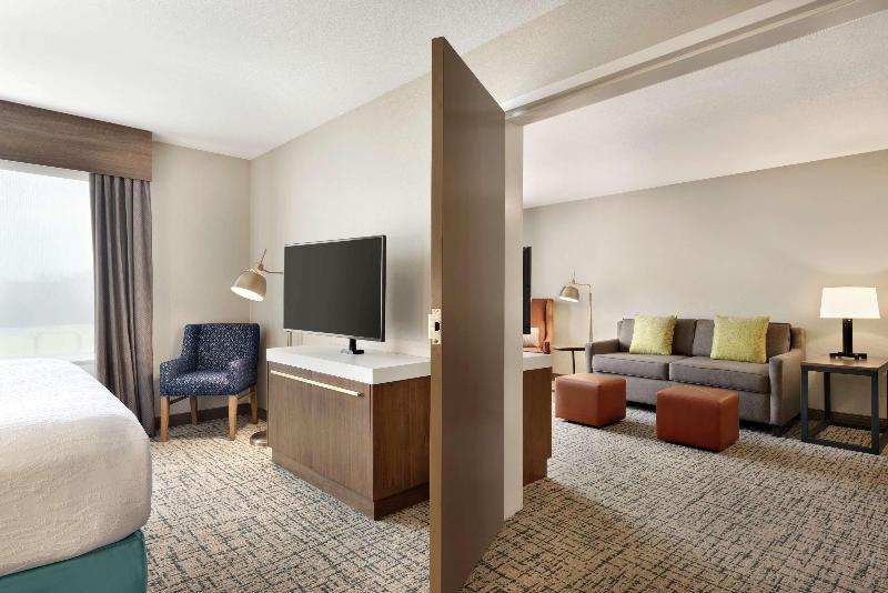 Deluxe Suite King Bed, Hilton Garden Inn Dubuque Downtown