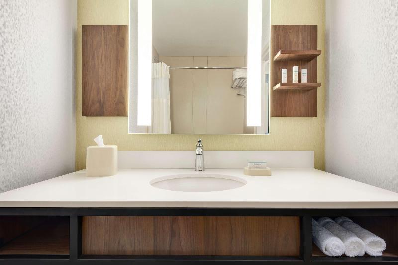 اتاق استاندارد با تخت بزرگ, Hilton Garden Inn Dubuque Downtown