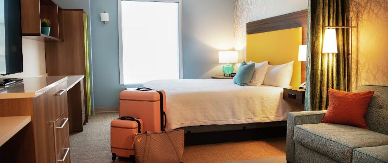 اتاق استاندارد با تخت بزرگ برای معلولان, Hilton Garden Inn Dubuque Downtown
