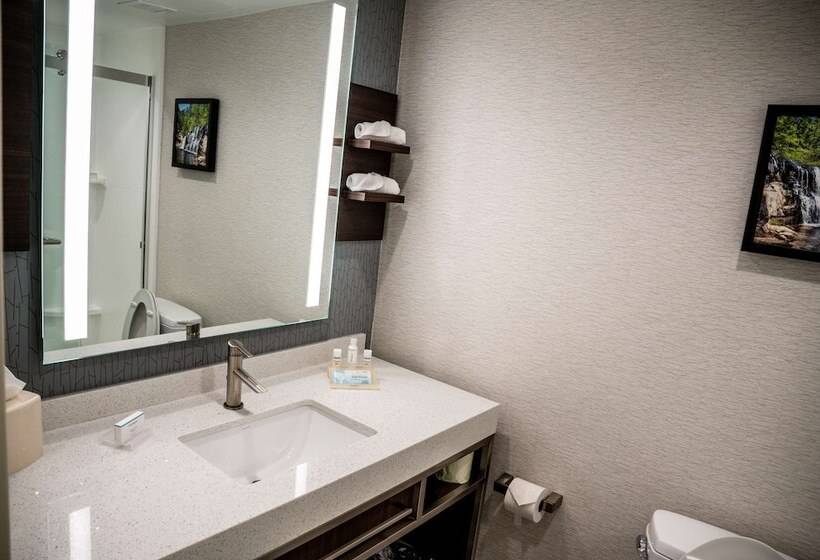 سوییت, Hilton Garden Inn Fayetteville Fort Liberty