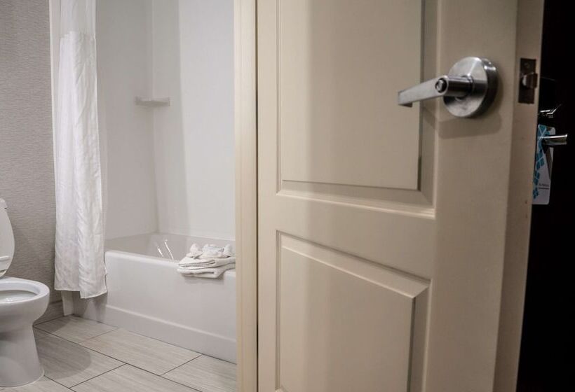 اتاق استاندارد, Hilton Garden Inn Fayetteville Fort Liberty