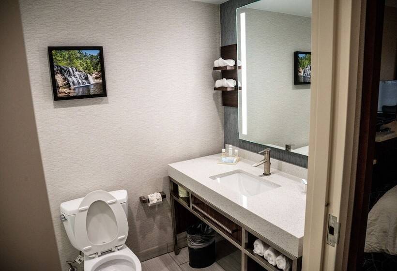 اتاق استاندارد, Hilton Garden Inn Fayetteville Fort Liberty