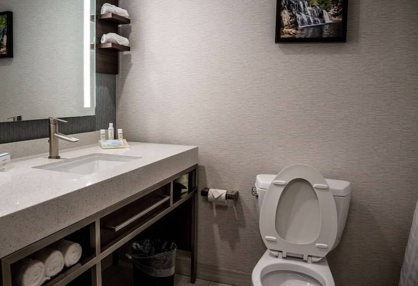 اتاق استاندارد, Hilton Garden Inn Fayetteville Fort Liberty