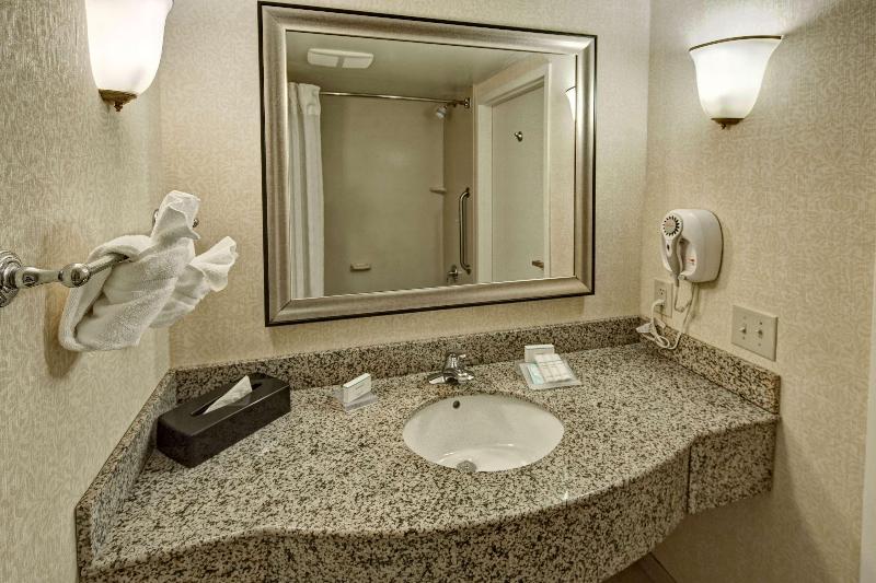 اتاق استاندارد با تخت بزرگ, Hilton Garden Inn Indianapolis Northeast/fishers