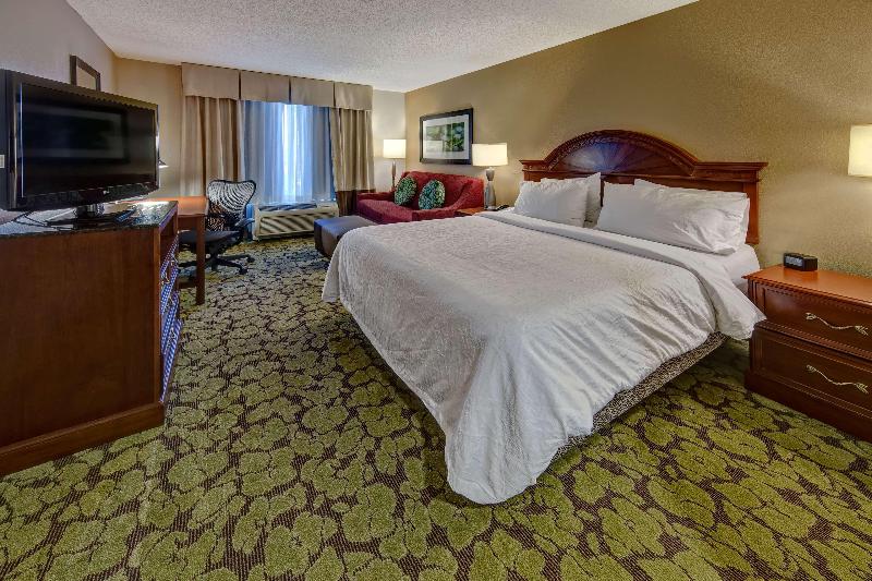 اتاق استاندارد با تخت بزرگ, Hilton Garden Inn Indianapolis Northeast/fishers