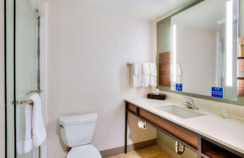 اتاق استاندارد, Hilton Garden Inn Indianapolis Northeast/fishers