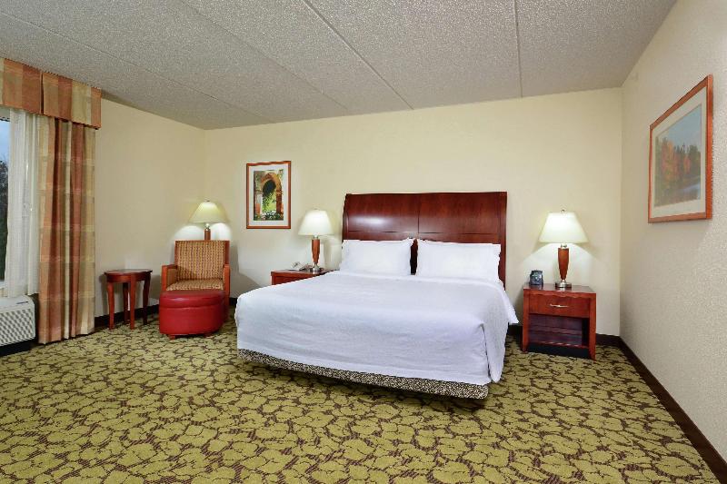 اتاق استاندارد با تخت بزرگ, Hilton Garden Inn Raleigh Capital Blvd I540