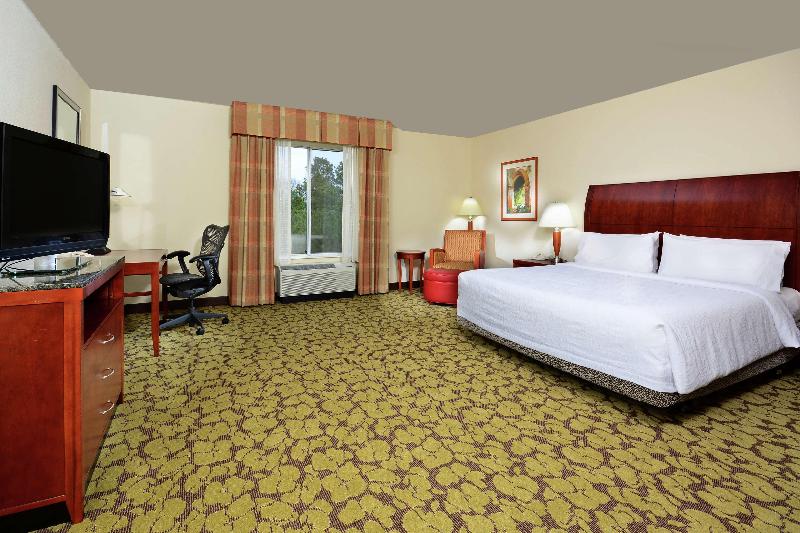 اتاق استاندارد با تخت بزرگ, Hilton Garden Inn Raleigh Capital Blvd I540