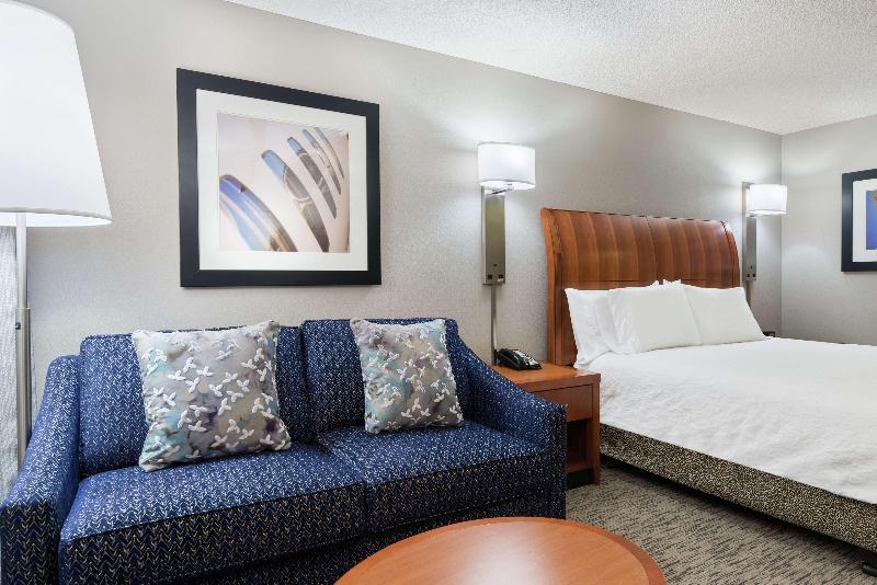 اتاق استاندارد با تخت بزرگ, Hilton Garden Inn Tampa Airport Westshore