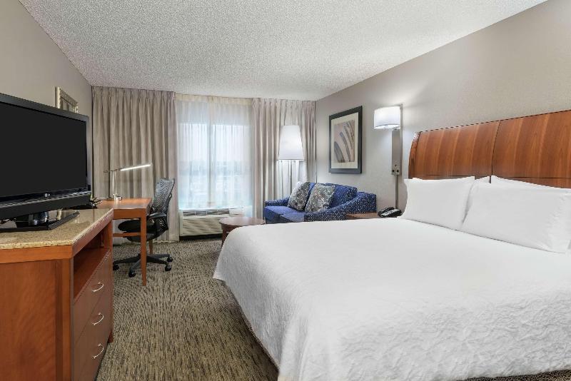 اتاق استاندارد با تخت بزرگ, Hilton Garden Inn Tampa Airport Westshore