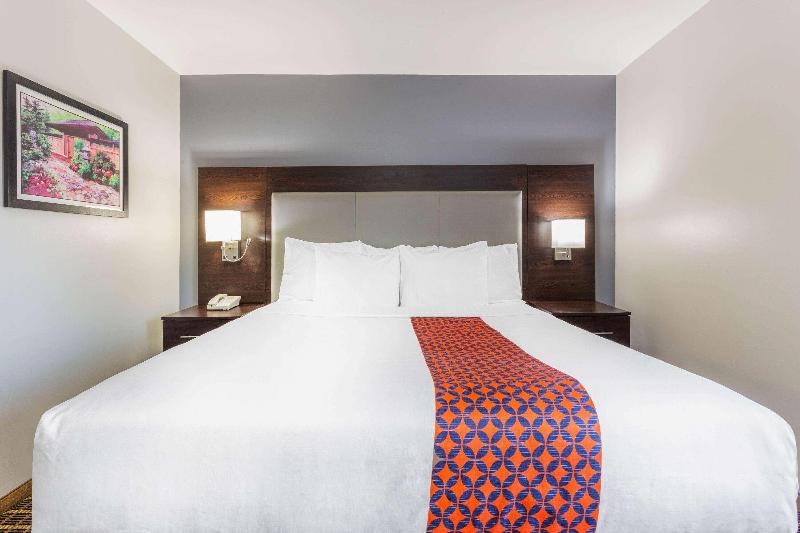 اتاق استاندارد, Hilton Garden Inn Tampa Airport Westshore