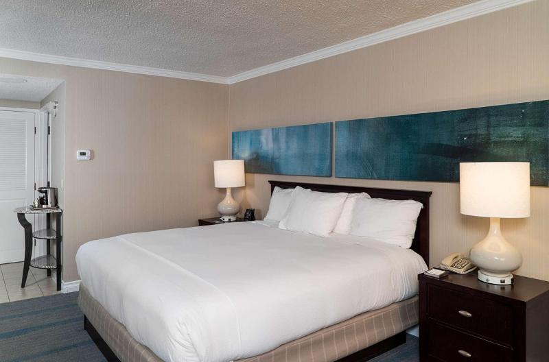 اتاق استاندارد با تخت بزرگ, Hilton Irvine/orange County Airport