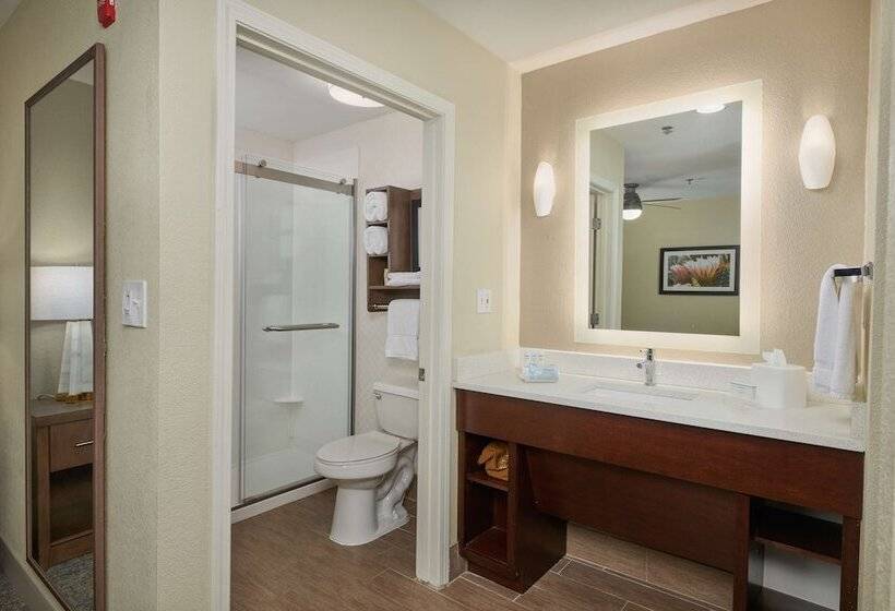 Suite, Homewood Suites By Hilton Sarasota