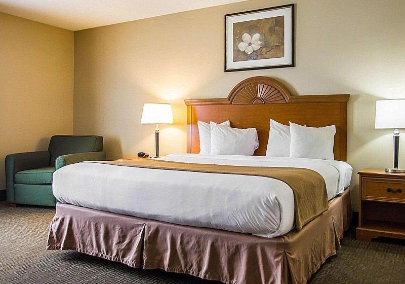 اتاق استاندارد با تخت بزرگ, Quality Inn & Suites Fishkill South Near I 84