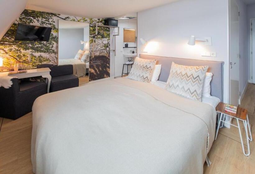 اتاق سوپریور, Stadsvilla Hotel Mozaic Den Haag
