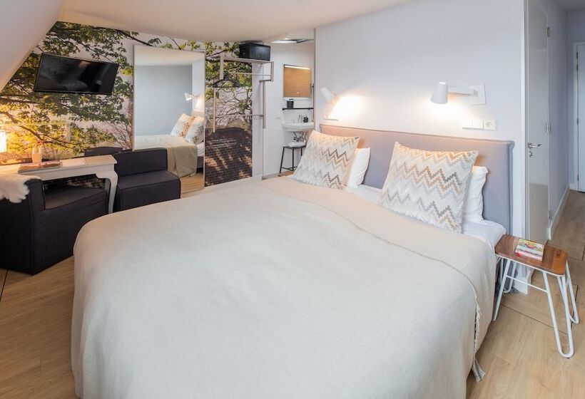اتاق سوپریور, Stadsvilla Hotel Mozaic Den Haag