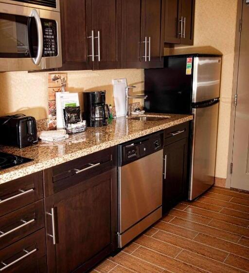 استودیو استاندارد با تخت کینگ, Towneplace Suites By Marriott Sudbury