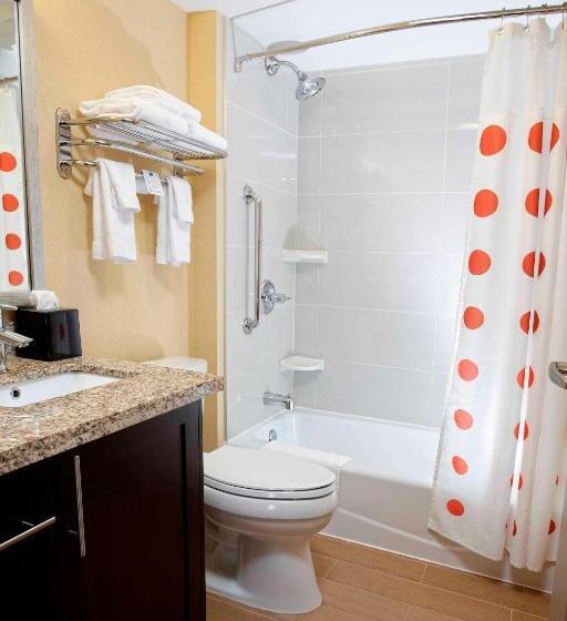 استودیو استاندارد با تخت کینگ, Towneplace Suites By Marriott Sudbury