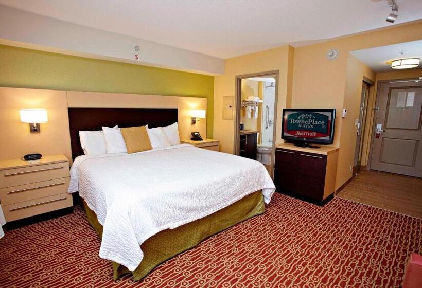 Standard Studio King Bed, Towneplace Suites By Marriott Sudbury